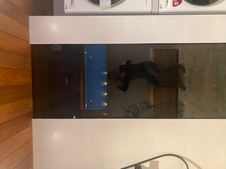 IMG 1982